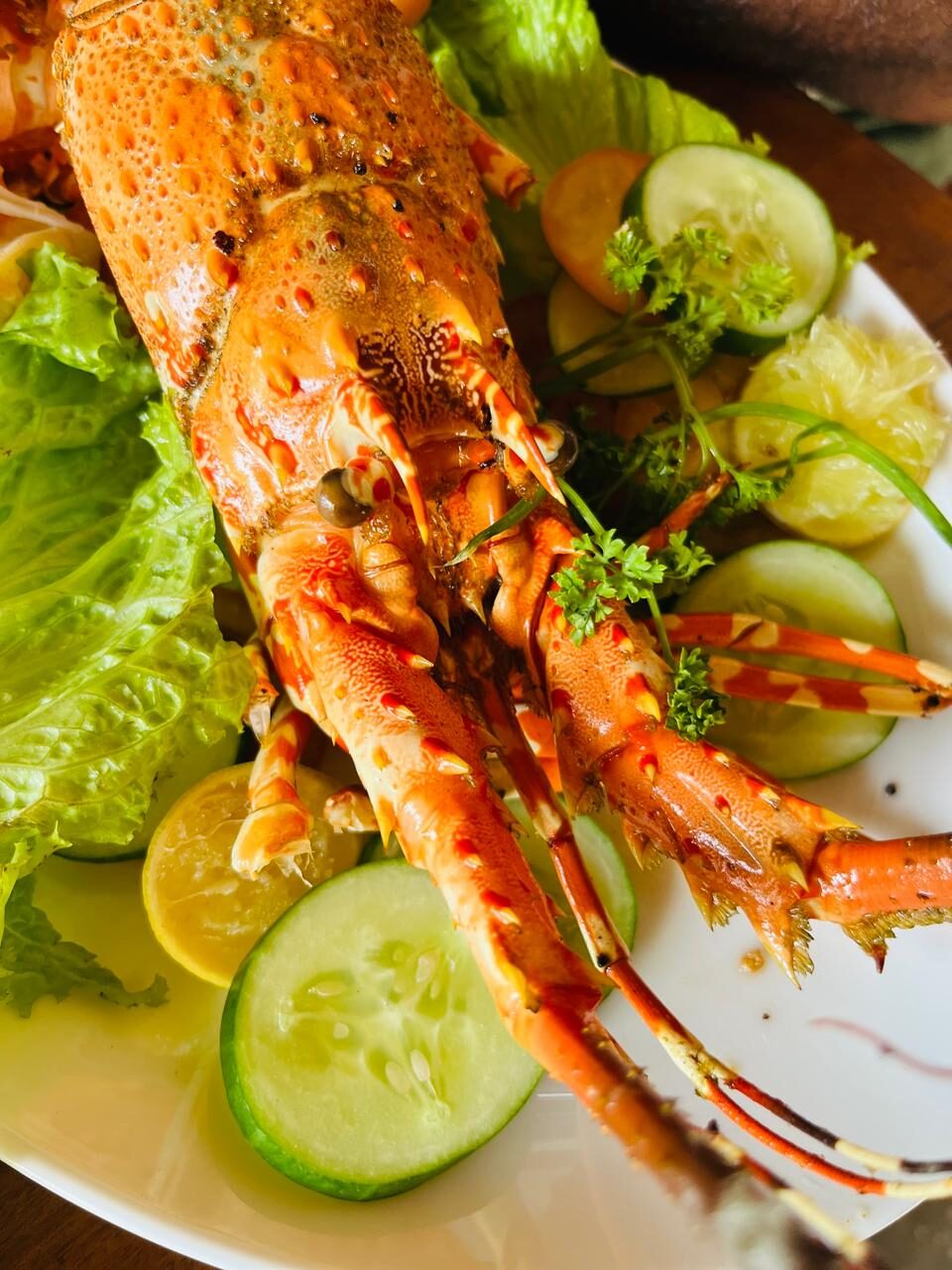Fresh Lobster